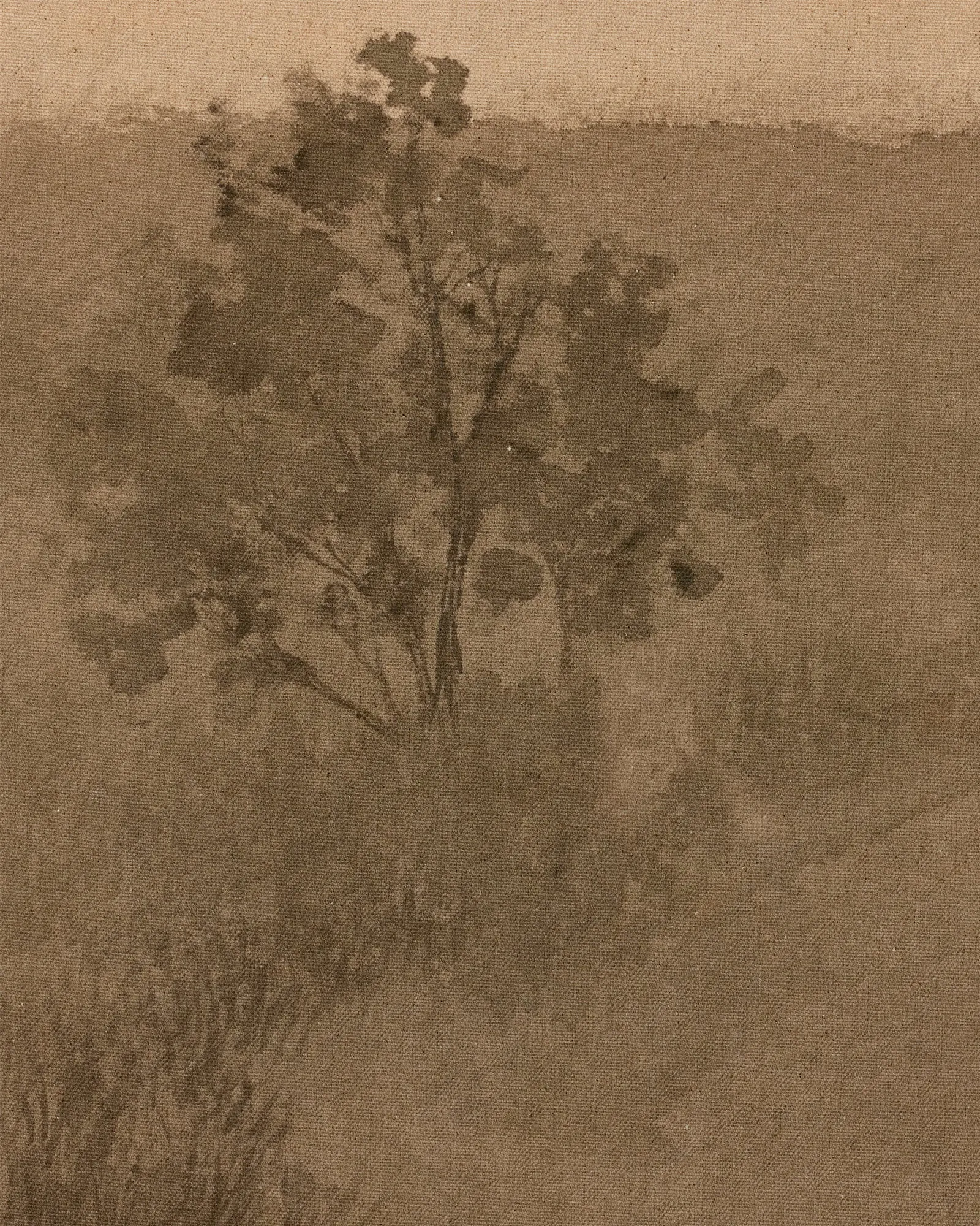 Tree-lined Meadow II