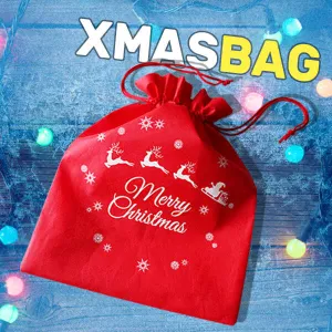 Xmas bag - Christmas bag